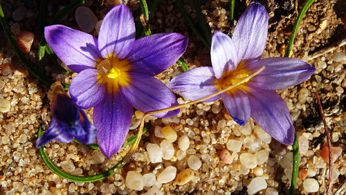 DSC08863.jpg DSC08863.jpg