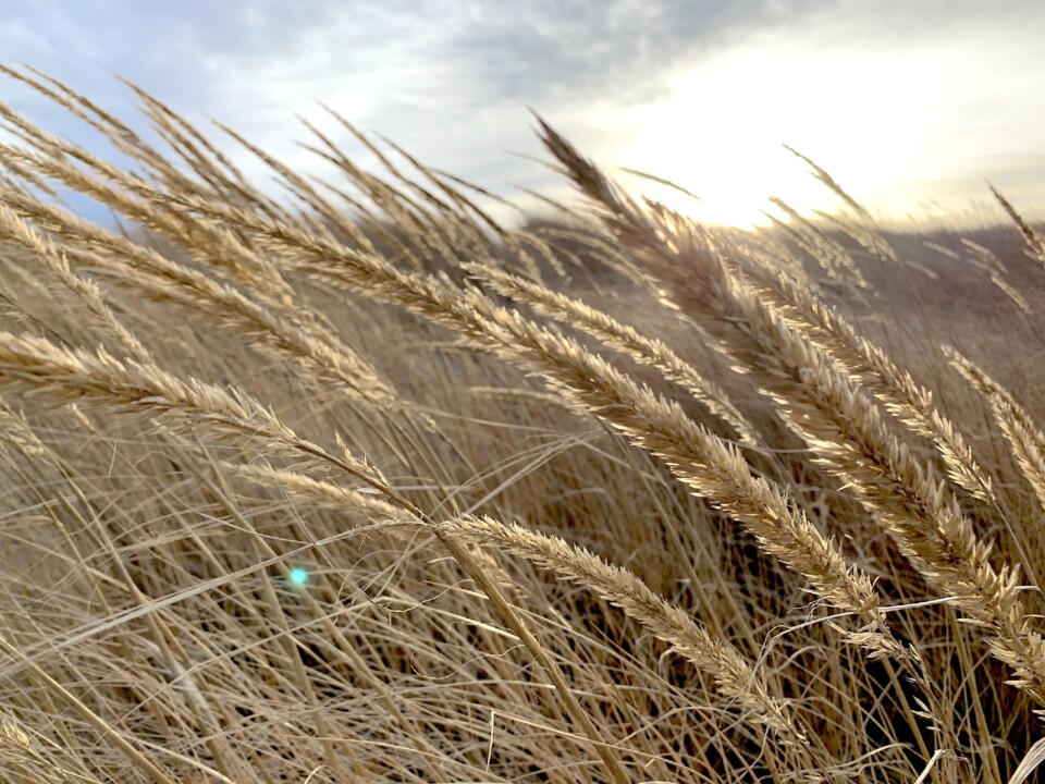 thumbs.web.sapo.io - cópia.jpeg