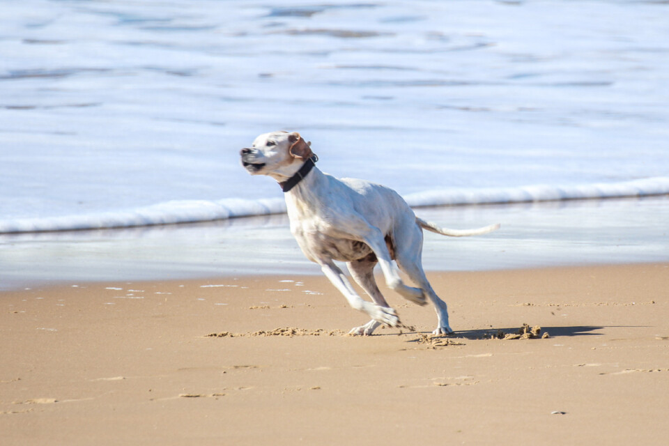 capitulo perfeito 23.jpg