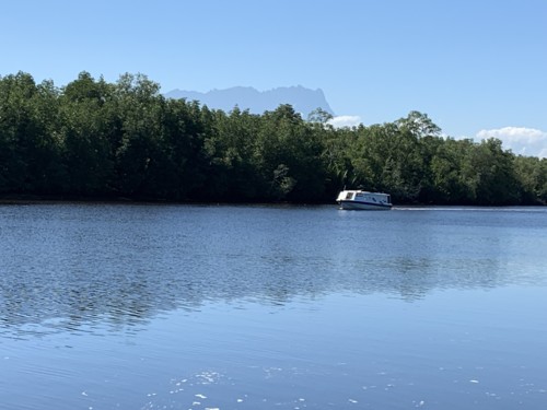 IMG_0545.JPG IMG_0545.JPG