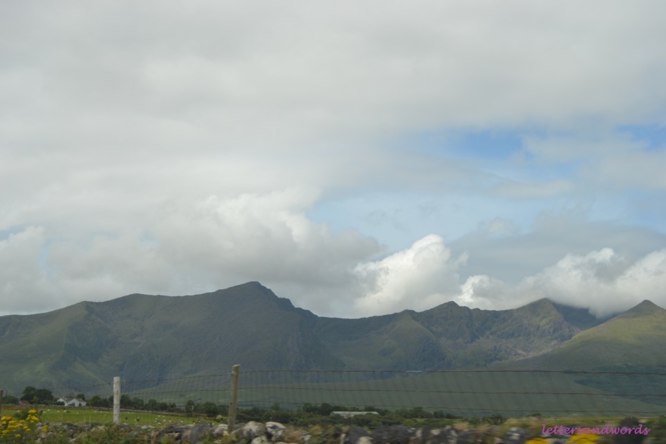 DSC_0140.JPG DSC_0140.JPG