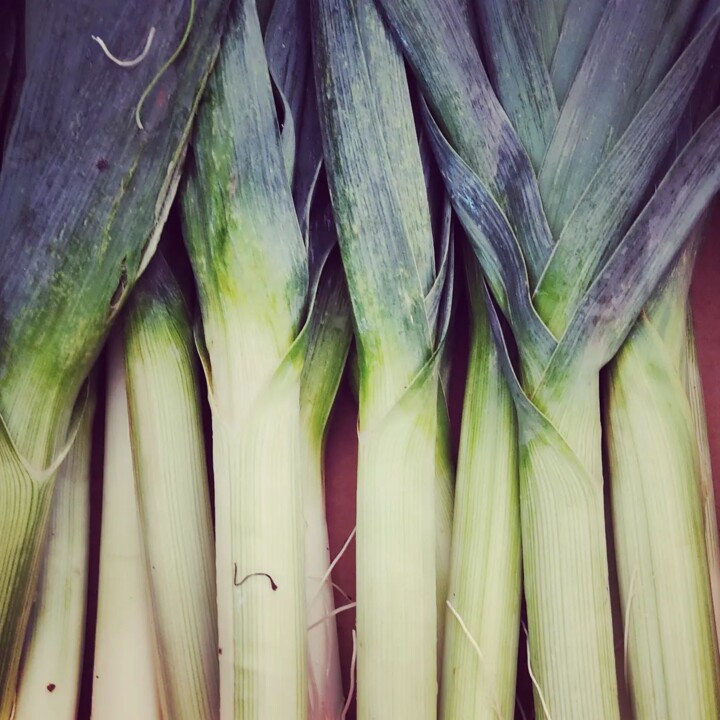 316049742_2470615083078238_1470980856689920797_n.j