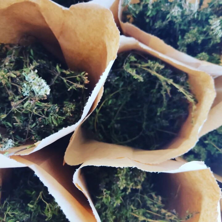 296349405_2373361202803627_6069070641517332112_n.j