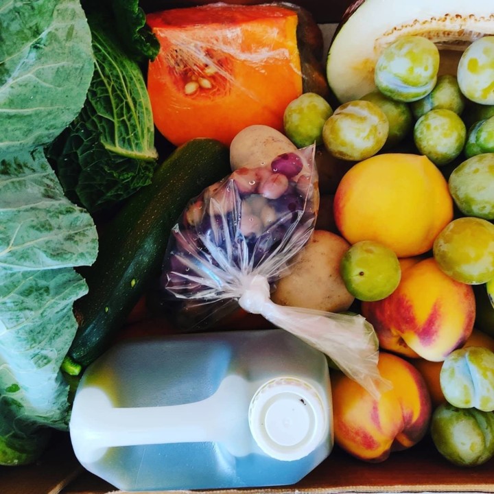 118793010_1803812126425207_4399754222245619395_o.j