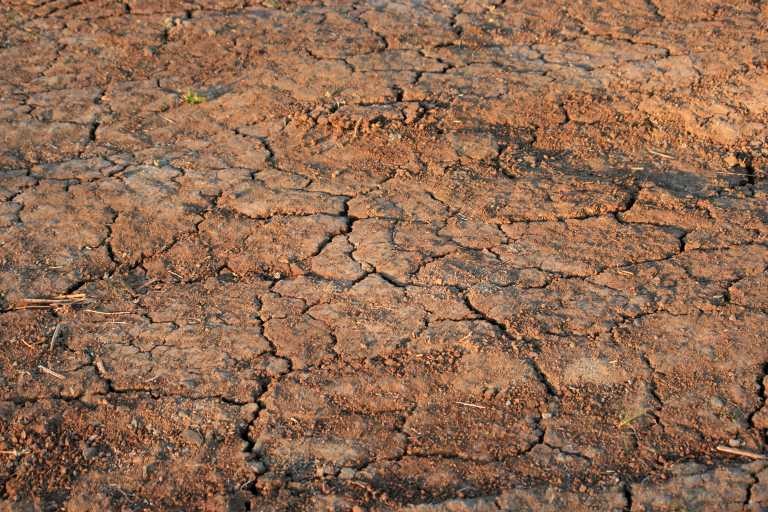 seca1-768x512.jpg seca1-768x512.jpg