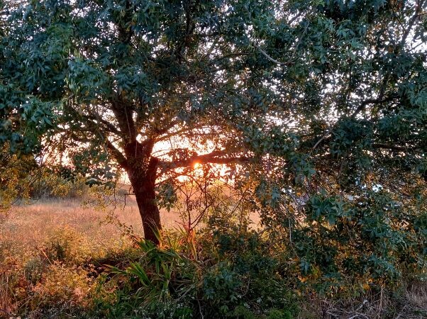 20240704_205459 - Cópia.jpg