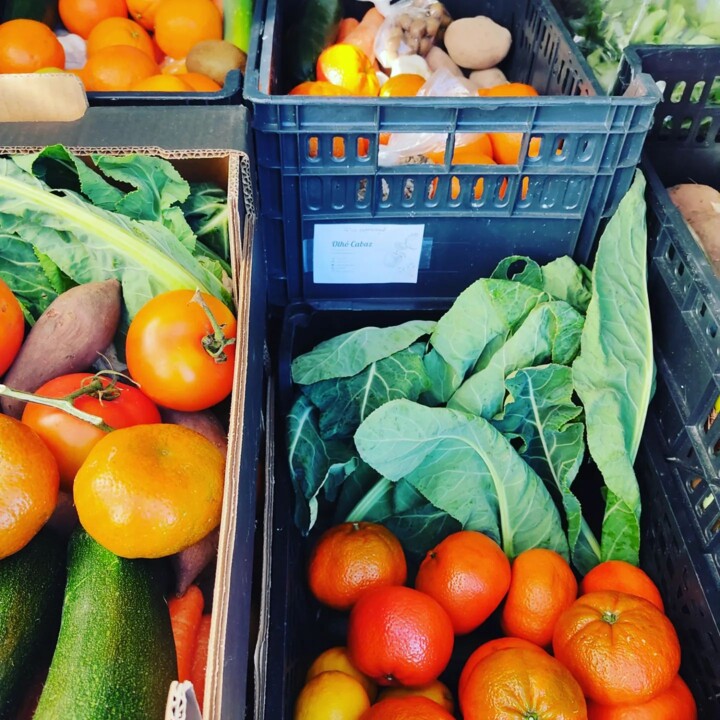 328969308_871632564166127_5123966548406371215_n.jp