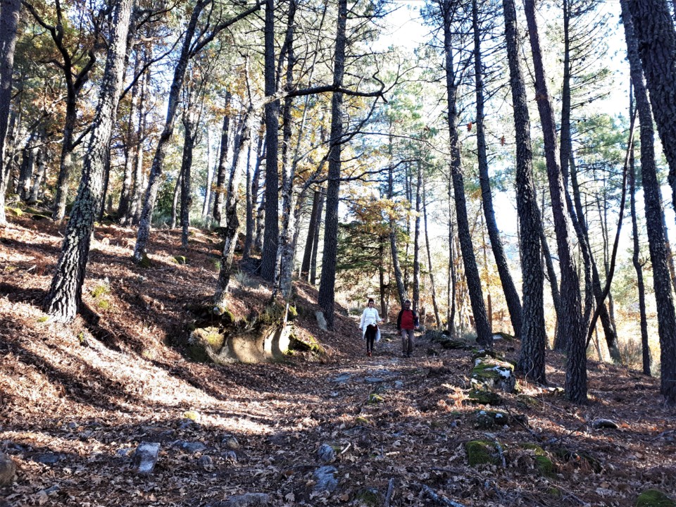 ESTRADAO REGRESSO.jpg