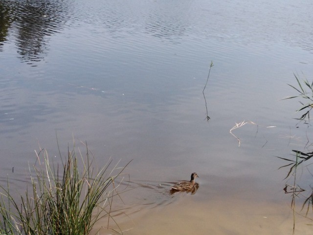 200758346_3986627291452546_4753067026394257170_n.j