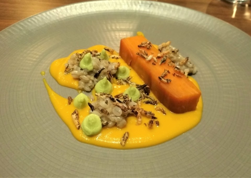 IMG_20190906_201732.jpg IMG_20190906_201732.jpg