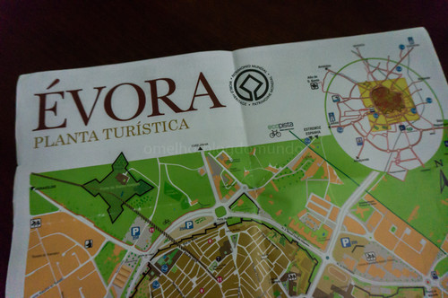 DSC01017.jpg DSC01017.jpg