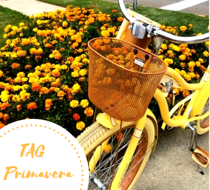 Capturar1.PNG Capturar1.PNG