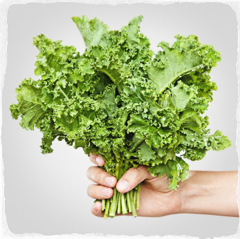 Ramo de Alface - Tirada de Eaturveggies.com