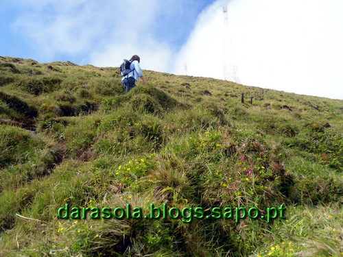 Azores_Faial_caldeirao_17.JPG