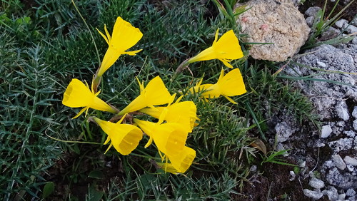 DSC08748.jpg DSC08748.jpg