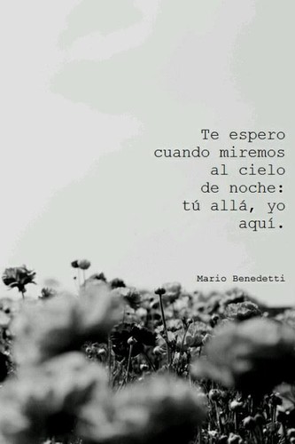 Benedetti