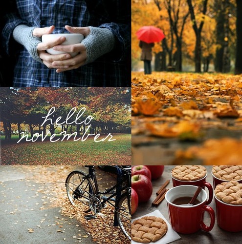 novembro.jpg