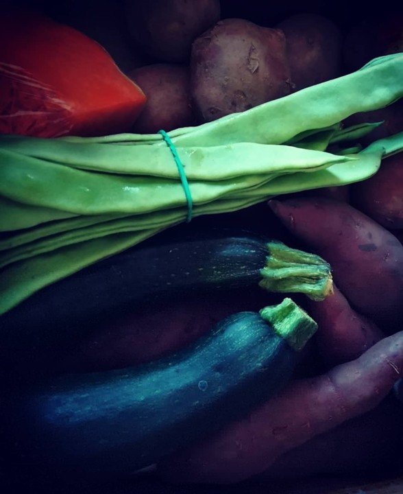 71046287_1465665443573212_8972058966196486144_n.jp