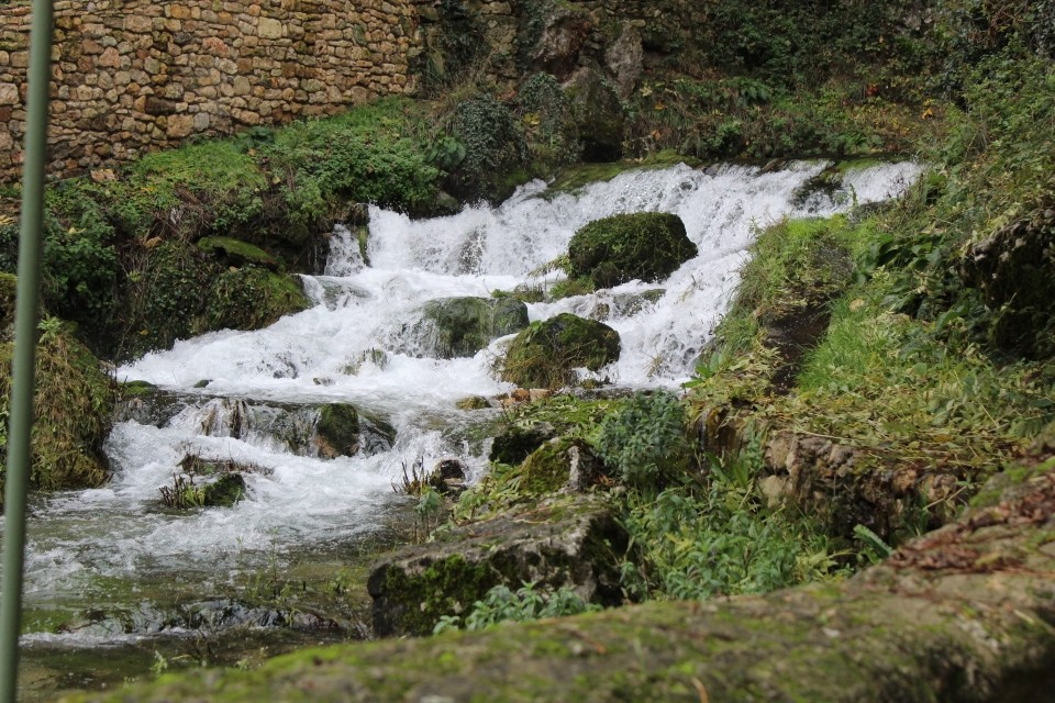 20191128130540_IMG_1738_resized_20200116_100705477