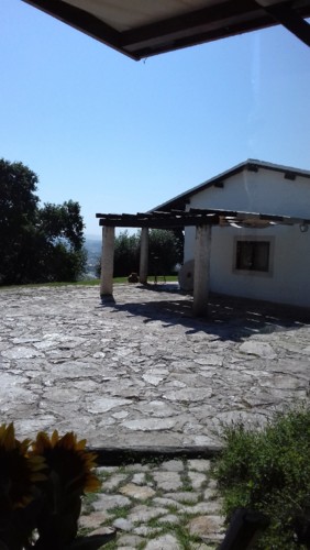 20180922_124001.jpg 20180922_124001.jpg