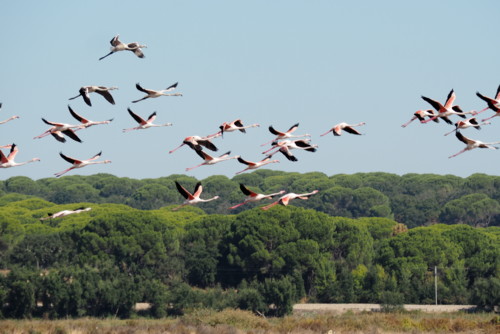 PA050130.JPG PA050130.JPG