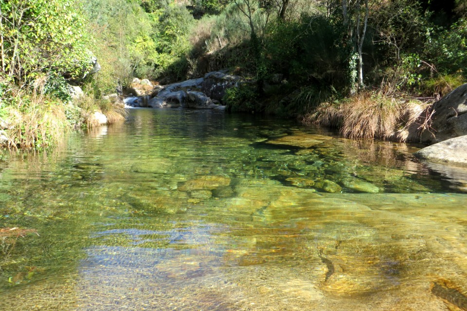 IMG_4712.JPG IMG_4712.JPG