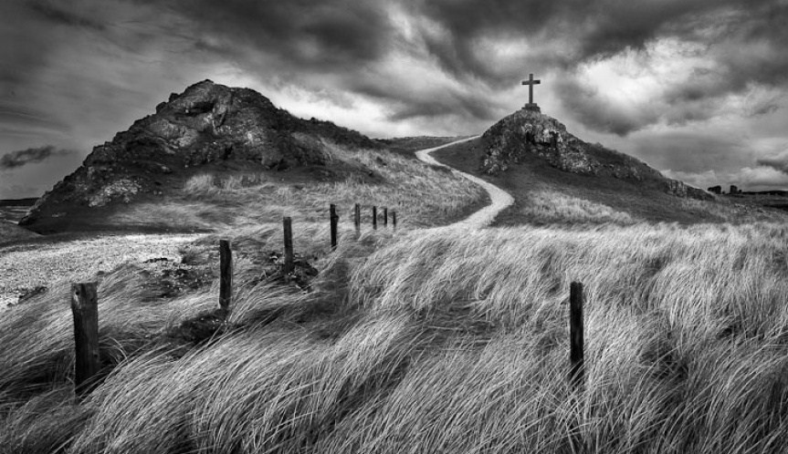 alição1.jpg alição1.jpg