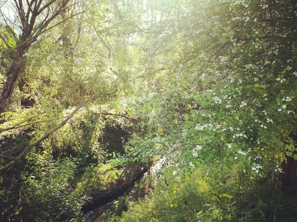 91889868_10157283561313565_9110522157699432448_o.j