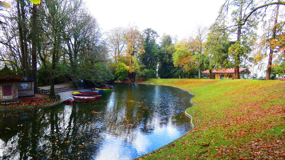 124170220_10218781105693830_1682586649007116424_o.