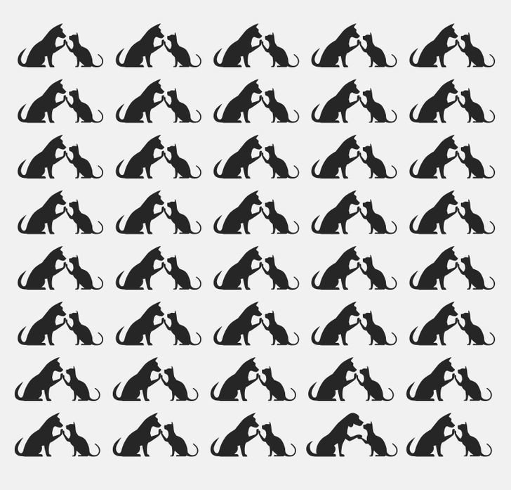 d5de915b8096a069ee492b6fe0.jpg d5de915b8096a069ee492b6fe0.jpg