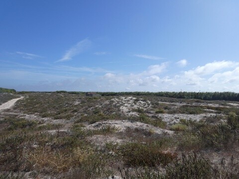 19a_Manhã_Pela_Praia_de_Mira (60).JPG