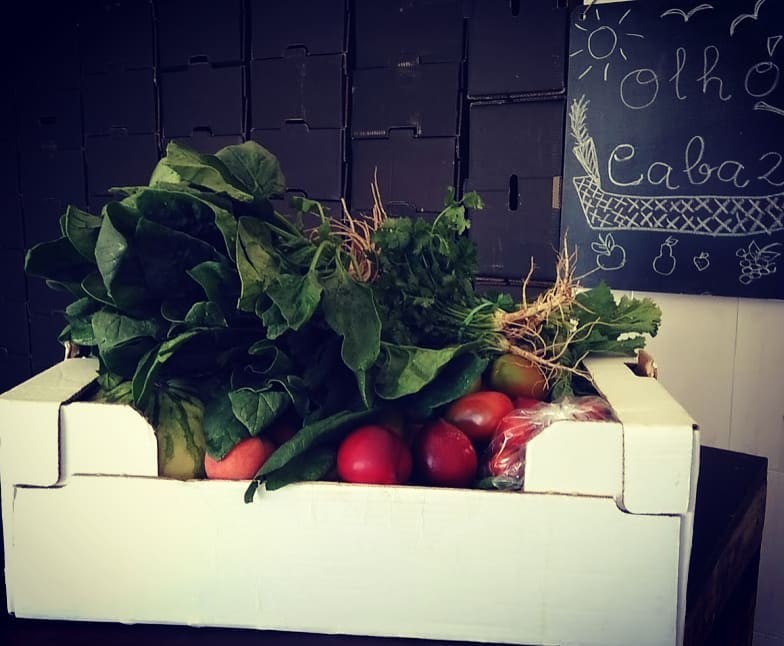 205873247_2055936557879428_915939456807878550_n.jp