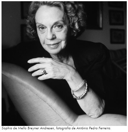 Sophia - foto de António Pedro Ferreira.jpg