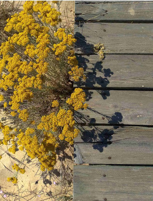 O amor é o espaço e o tempo tornados sensíveis 