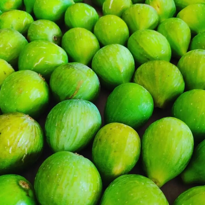 363379101_663655419125205_1405412730185535799_n.jp