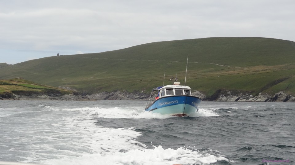 DSC07038.JPG DSC07038.JPG