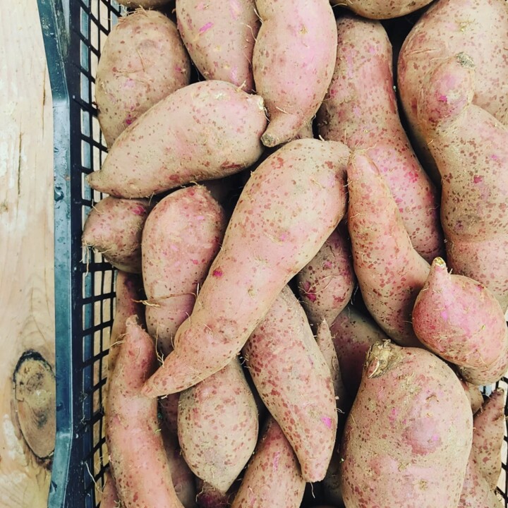 589262188_18515793964066958_6630517920371752440_n.