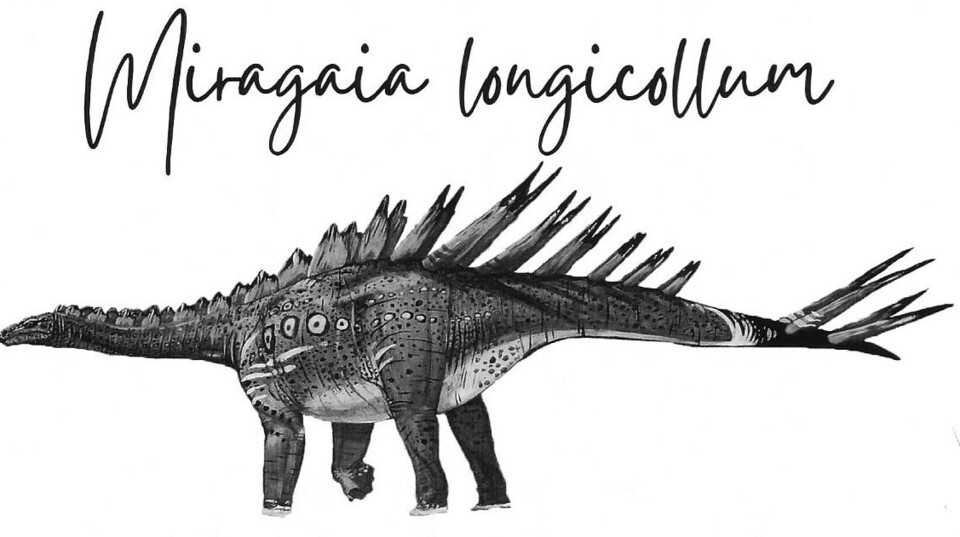 Dinosauro Miragaia.jpeg