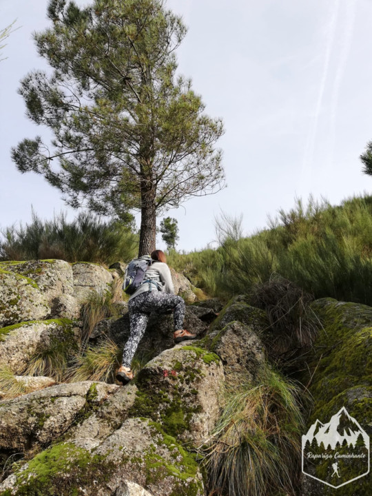 Photo_1582917624422.jpg Photo_1582917624422.jpg