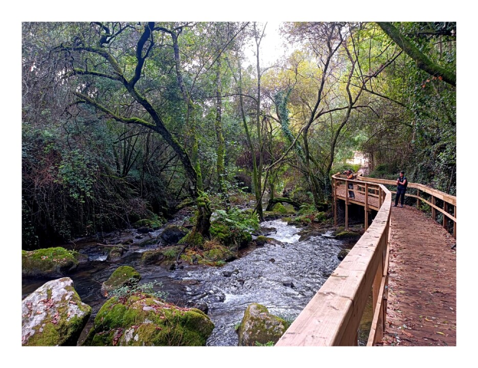 cascata outeiro pindelo_02112025_3.jpg