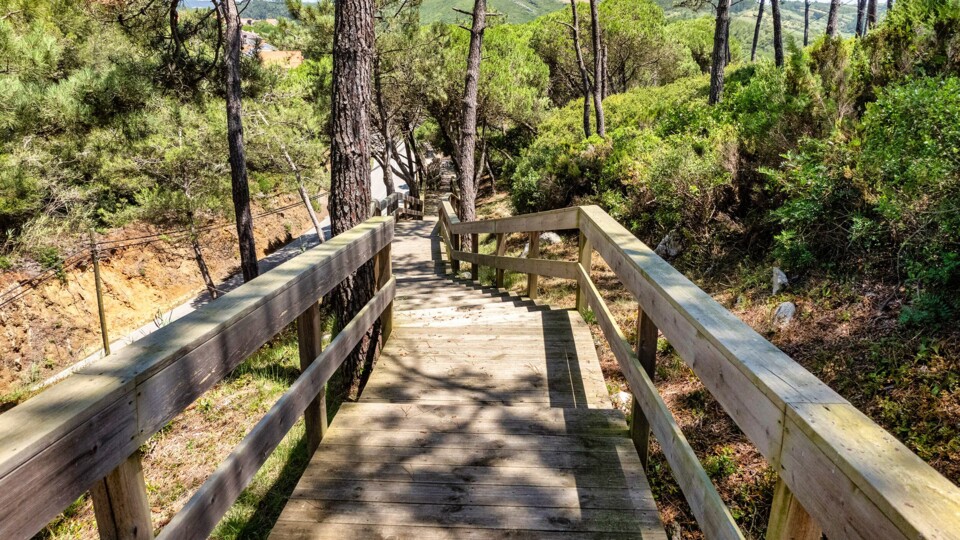 Torres Verdras Porto Novo passadiço2.jpg