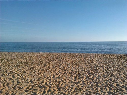 14729385_10208703474882863_6064130177796417284_n.j