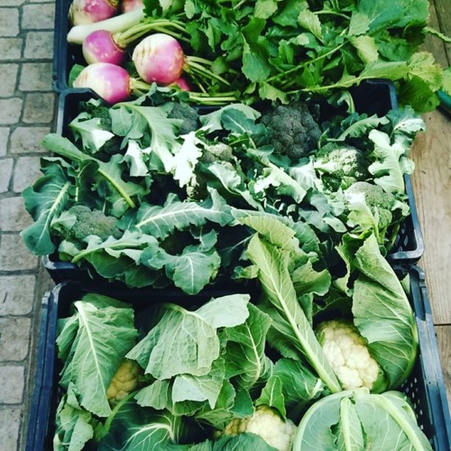 27336318_1033751453431282_6211337689309941428_n.jp 27336318_1033751453431282_6211337689309941428_n.jp