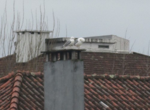 IMG_4059.JPG IMG_4059.JPG