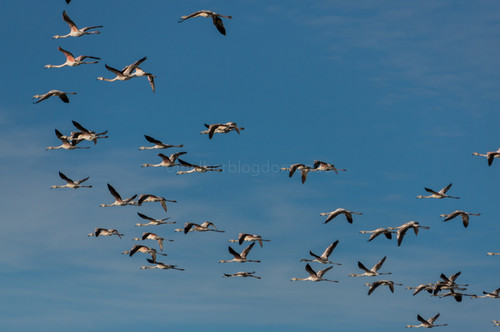 DSC08866.jpg DSC08866.jpg