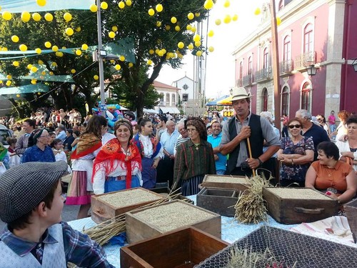 Padornelo no Cortejo Etnográfico de Paredes de Co