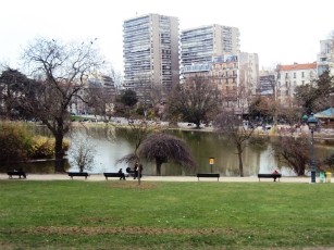 DSC03561-w307-h230.JPG