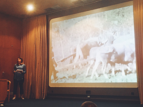 657C945D-E3F3-47F8-B3D8-D1348B2A8D06.JPG 657C945D-E3F3-47F8-B3D8-D1348B2A8D06.JPG