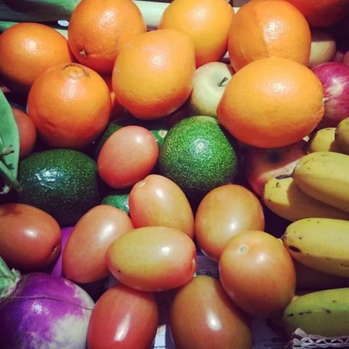 27073137_1034433740029720_4393246199416675066_n.jp 27073137_1034433740029720_4393246199416675066_n.jp