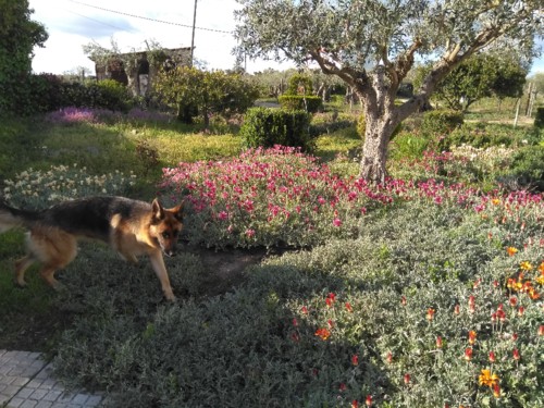 IMG_20180409_182310.jpg IMG_20180409_182310.jpg